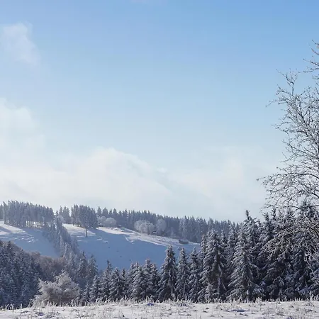 Ferienhauspark Ferienhaus *