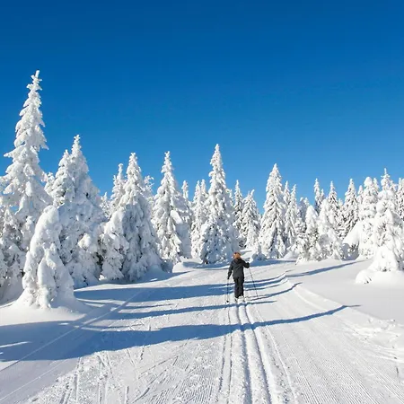 بيت للعطل Ferienhauspark *