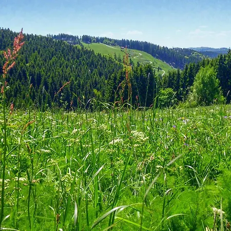 Ferienhauspark *