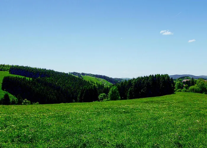 Ferienhauspark * Hasselfelde